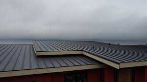 Best 4 Ply Roofing  in Ridgway, CO